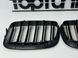 Решітка радіатора BMW X5 Е70, X6 E71 стиль М3 (M-color) рамка під карбон  тюнінг фото