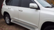 Молдинги на двері Lexus GX 460 / Toyota Land Cruiser Prado 150 білий перламутр тюнінг фото