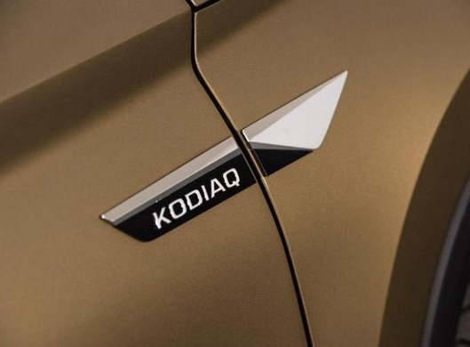 Эмблемы на боковые крылья и двери Skoda Kodiaq тюнинг фото
