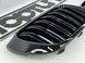 Решетка радиатора BMW X3 F25 (14-17 г.в.) / BMW X4 F26 (14-17 г.в.) М триколор тюнинг фото