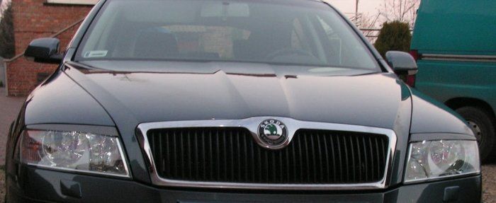 Реснички Skoda Octavia 5 (04-08 г.в.) в черном глянце тюнинг фото