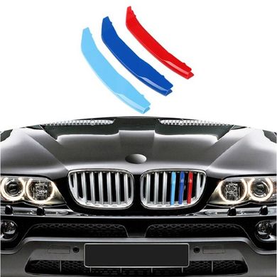 Вставки в решітку радіатора BMW X5 E53 (04-06 р.в.) тюнінг фото